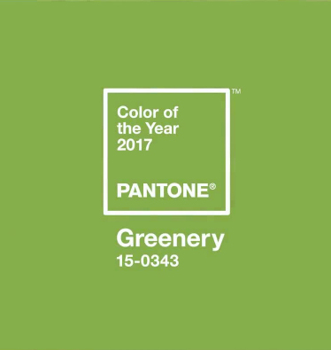 Segundo a Pantone, a "greenery" é a referência para 2017