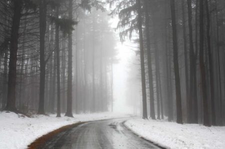 Misty Winter Road
