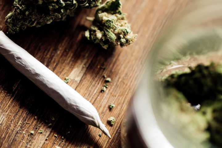 Foram encontrados na casa de um publicitário na Vila Madalena 21 pés de Cannabis que pesavam 583 gramas