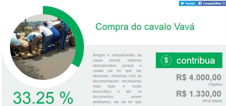 Vaquinha virtual tenta arrecadar dinheiro para a compra do cavalo