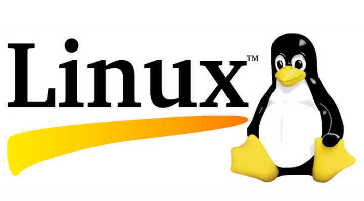 Linux: o sistema operacional gratuito mais difundido no mundo.