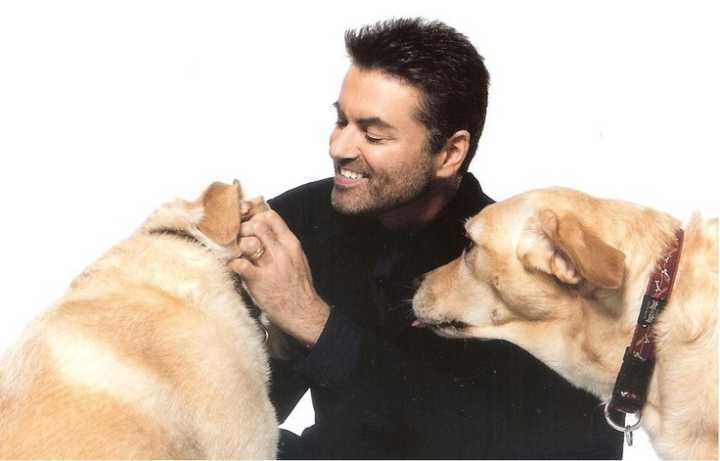 Reprodução | Pinterest