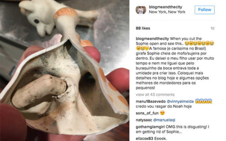 O interior da girafinha Sophie