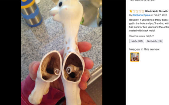 A girafinha Sophie e seu interior: podre