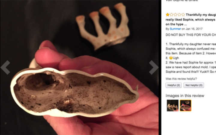 A girafinha Sophie e seu interior: podre