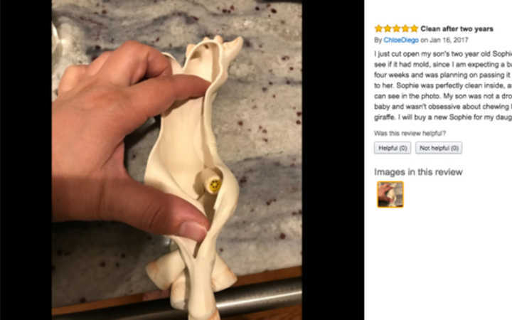 A girafinha Sophie e seu interior: podre