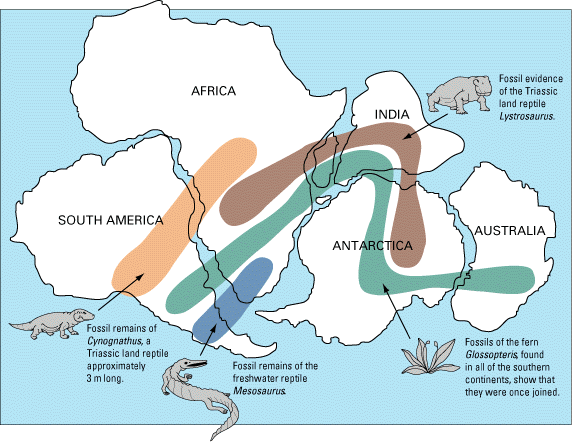 Mapa de Gondwana