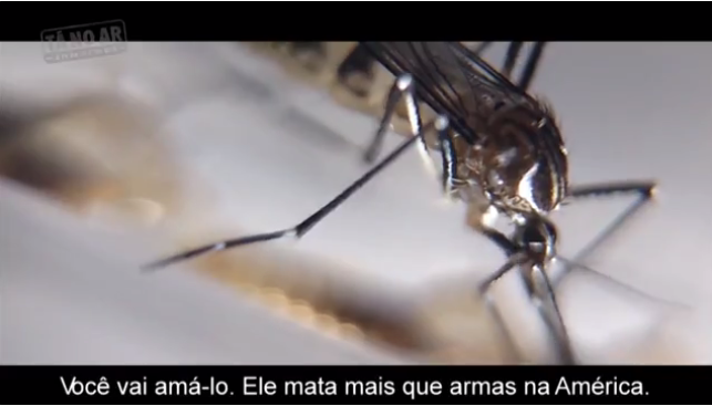 Adnet diz que Trump “vai amar” o Aedes Aegypti, porque ele mata mais que as armas dos americanos