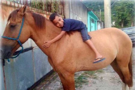 Ladrão se arrependeu e devolveu cavalo para garoto