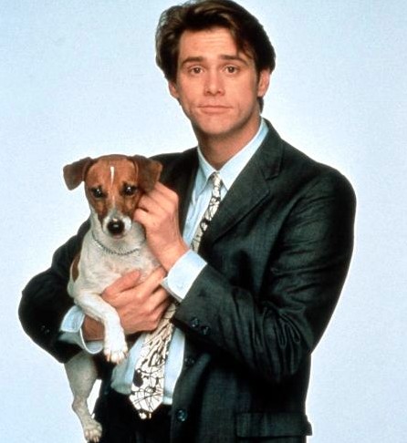 Jim Carrey segura o cãozinho da raça Jack Russell durante as gravações do filme "O Maskara (1993)