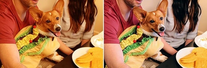 A inteligência artificial consegue ajustar as cores automaticamente.