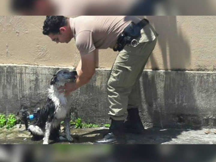 Policial socorreu cachorro que desmaiou por contas do intenso calor