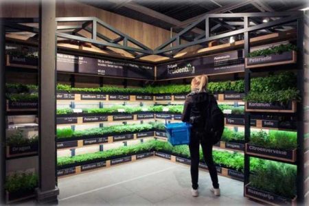 Mercado usou método criativo na hora de armazenar vegetais