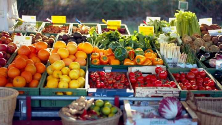 Pesquisa afirma que se população global colocasse mais verduras e frutas no prato, 7,8 milhões de mortes prematuras poderiam ser evitadas por ano