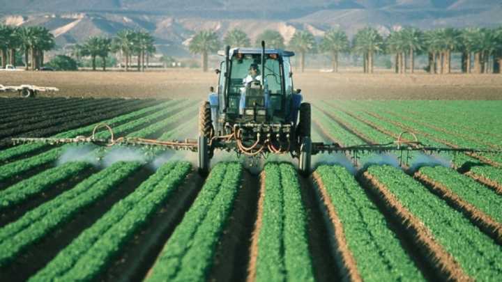 Autores do estudo da ONU acusam fabricantes de pesticidas a “negar sistematicamente os efeitos nocivos destes produtos” e “usar táticas agressivas e antiéticas de marketing”