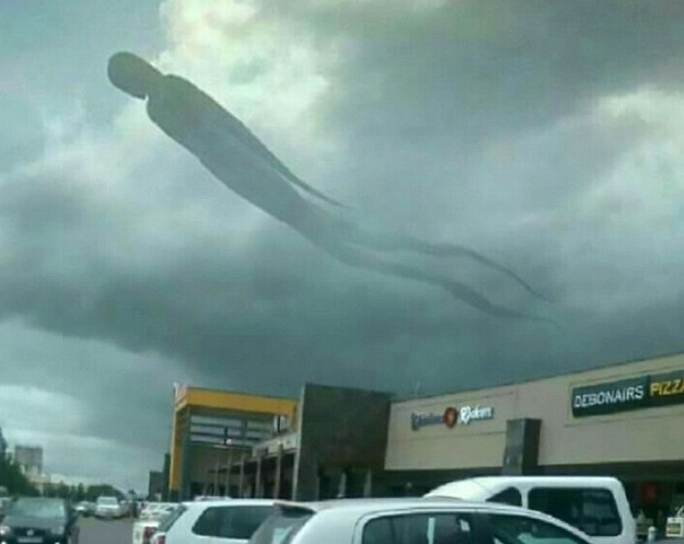 Reprodução/ RedeTV