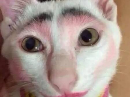 Talento para maquiagem desde cedo!