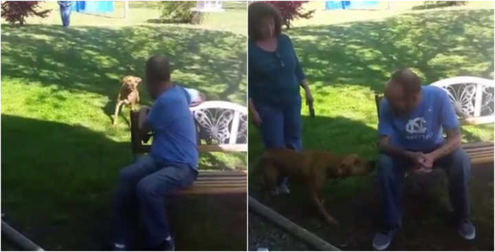 A princípio, o cachorro não reconhece o próprio dono; mas, quando sente o cheiro dele…