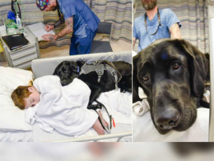 Cão não abandonou garoto no hospital