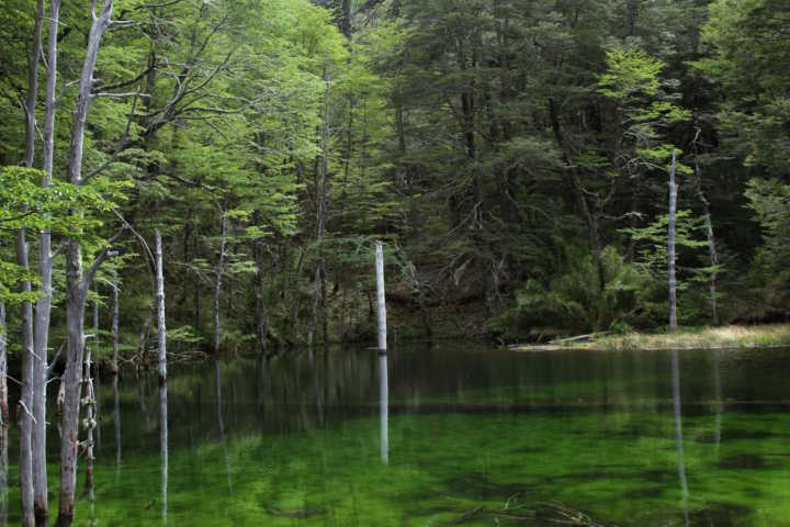 Laguna Pehuenco, próximo ao Corralco Resort de Montaña, no sul do Chile