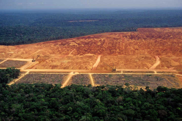 O relatório aponta benefícios que o desmatamento zero traria ao Brasil