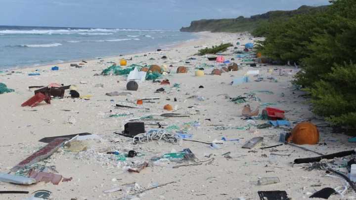 Henderson foi considerada a ilha com a maior densidade de lixo antropogênico (produzido pela atividade humana)