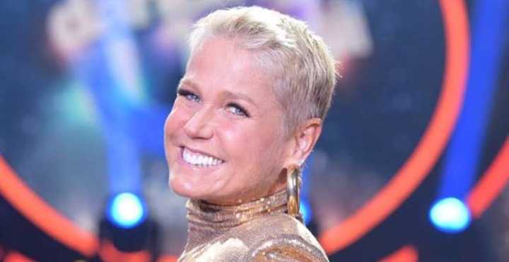 Xuxa perde recurso contra Google