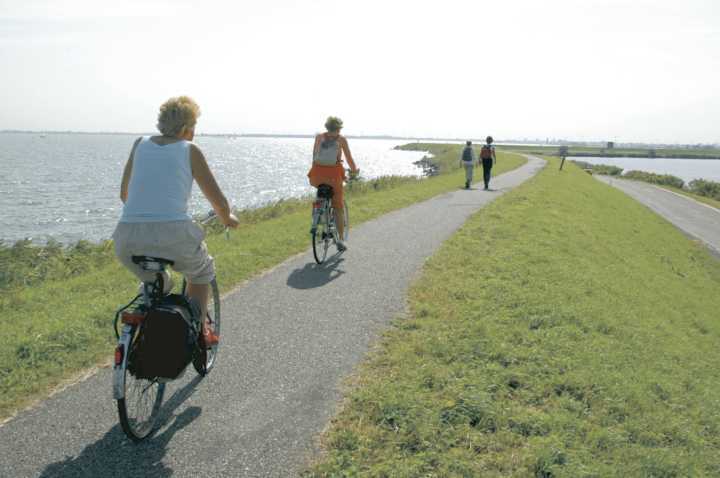 Passeio de Bike na Holanda