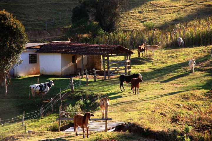 A zona rural de Cunha