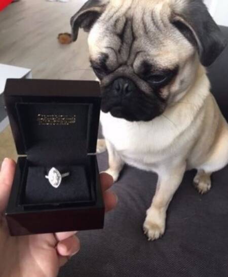 O lance inicial era de 3.500 libras (cerca de R$ 14,6 mil).