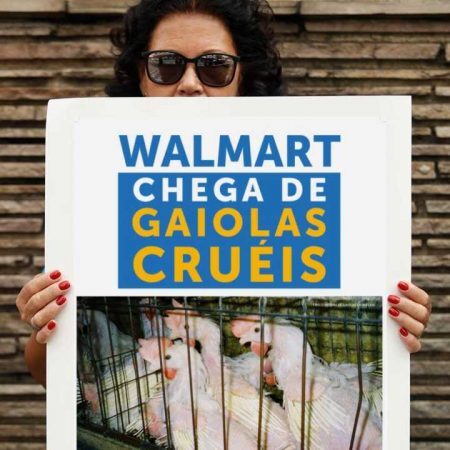 Ativistas organizam protesto para a entrega de mais de 130 mil assinaturas à rede de supermercados Walmart