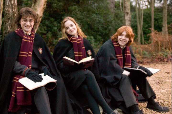 Unicamp oferece curso sobre Harry Potter