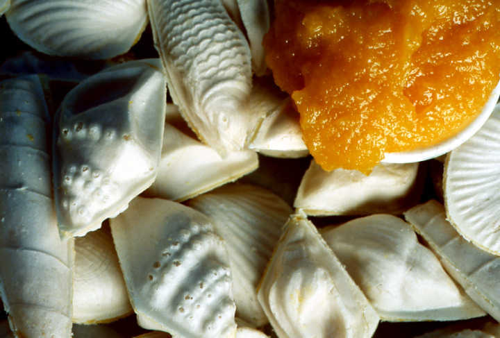 Os ovos moles são um doce tradicional da cidade de Aveiro. Nem Caetano Veloso resistiu a essa delícia