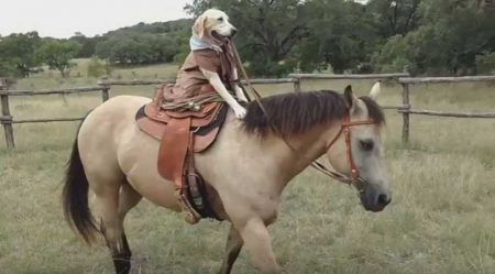 Maizey anda à cavalo melhor que muita gente por aí