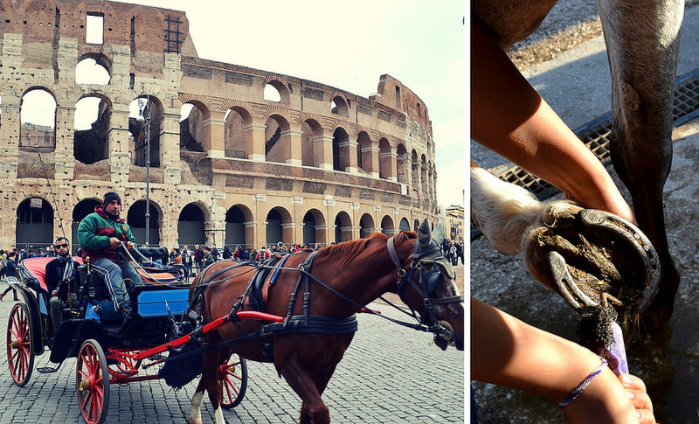 Cavalos puxam carroças pelo centro histórico da cidade de Roma | Divulgação