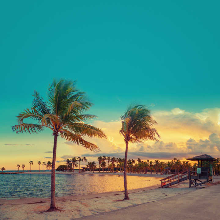 Site tem pacotes de viagem para Miami, nos EUA, a partir de R$ 1.499; confira datas