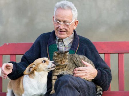 Em estudo realizado pela USP, animais deram uma contribuição extraordinária no tratamento dos idosos em vários aspectos