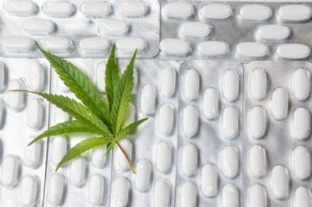 Em maio a entidade já havia reconhecido o interesse farmacêutico da cannabis
