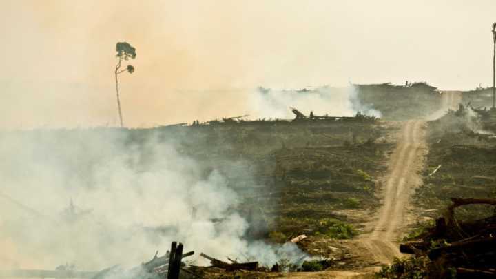 Além da proteção do meio ambiente, o que está em risco é a própria reputação e integridade das empresas envolvidas no escândalo