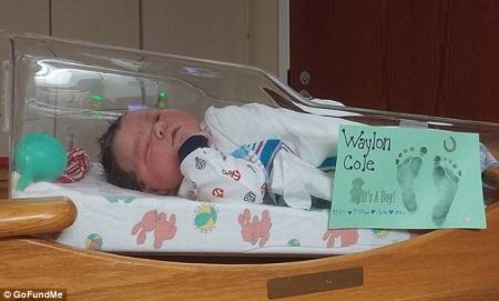 Waylon Cole Hallett, que nasceu com tamanho equivalente a o de um bebê de 6 meses