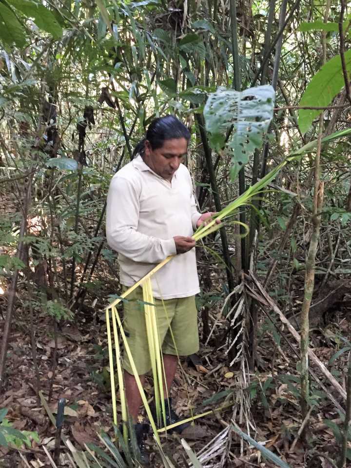 Guia índio ensina a sobreviver na selva