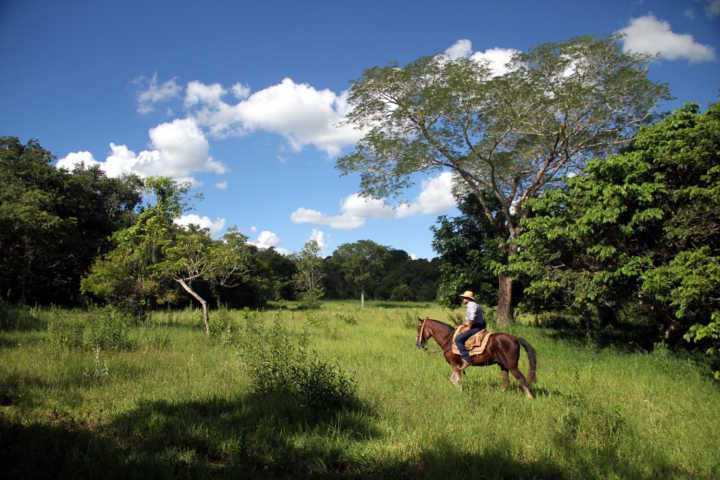 A cavalgada é uma das atividades da Fazenda Mimosa