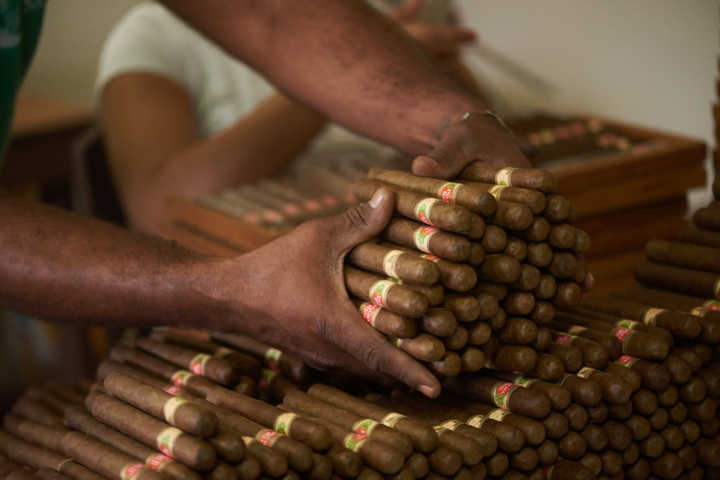 Os produtores trabalham há séculos com a excelência da folha do tabaco