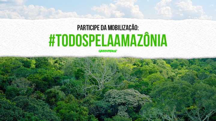 O decreto sobre a Amazônia foi muito criticado por ONGs e especialistas