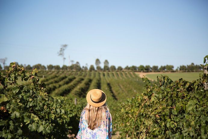 Inverno e vinho formam uma combinação perfeita!