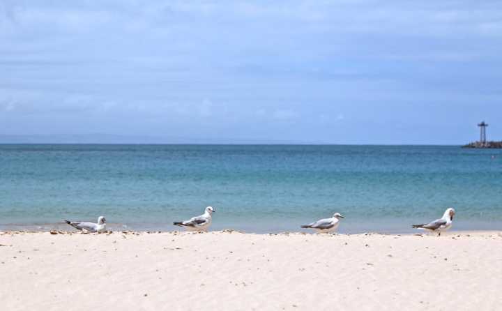 Região tem praias em áreas de preservação e reservas naturais