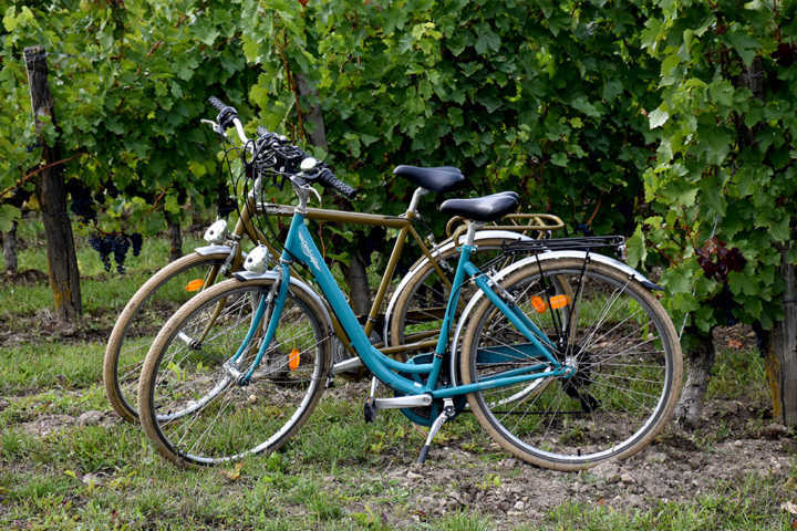 As bikes que Fernanda e Juan estão usando na viagem pela França