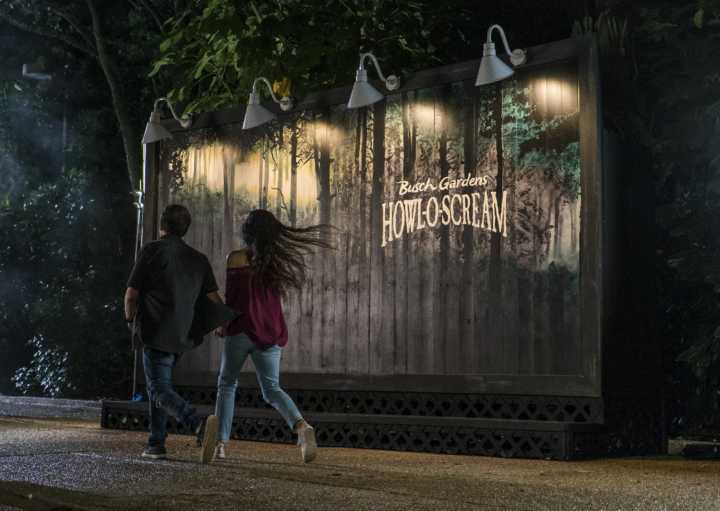 Visitantes corajosos chegam para o Halloween do Busch Gardens