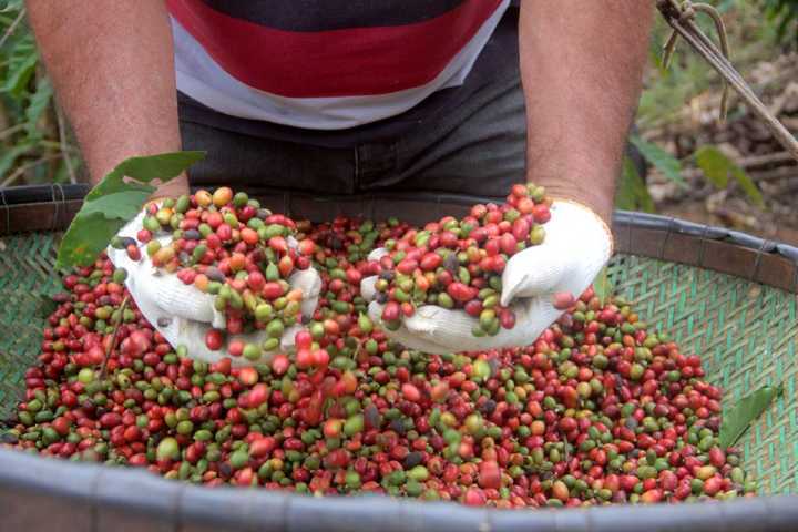 Tomar um café em Portugal foi ótima surpresa