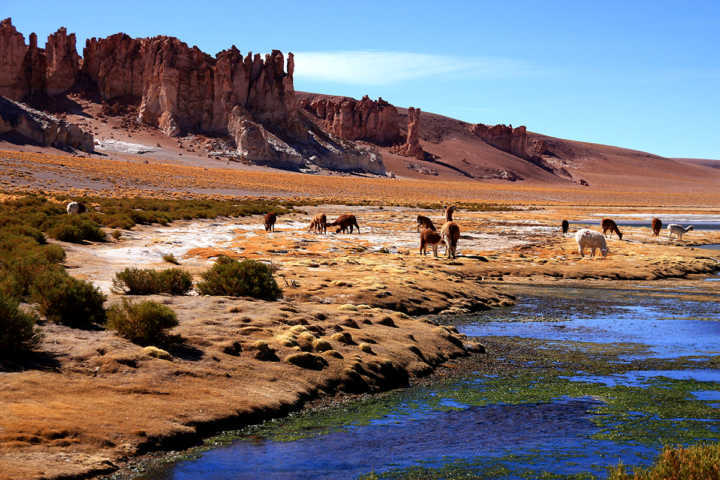 O pampa de Tara fronteira entre Chile e Argentina